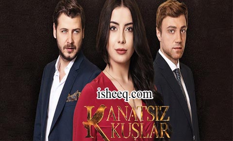 مسلسل طيور بلا اجنحة