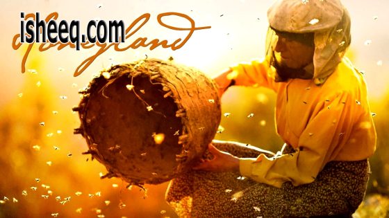 فيلم Honeyland مترجم | ارض العسل